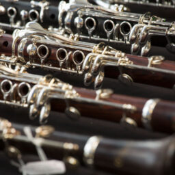 CLARINET REPAIR SERVICES